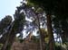 rodos 010